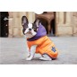 "Bunny" Jacket with Hood "Bunny" Jacket with Hood