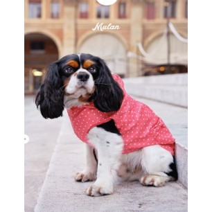 "Mulan" Jacket with Hood