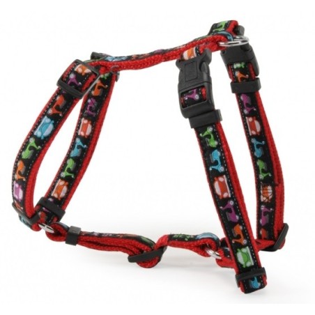 “Car&Scooter” harness with double buckle