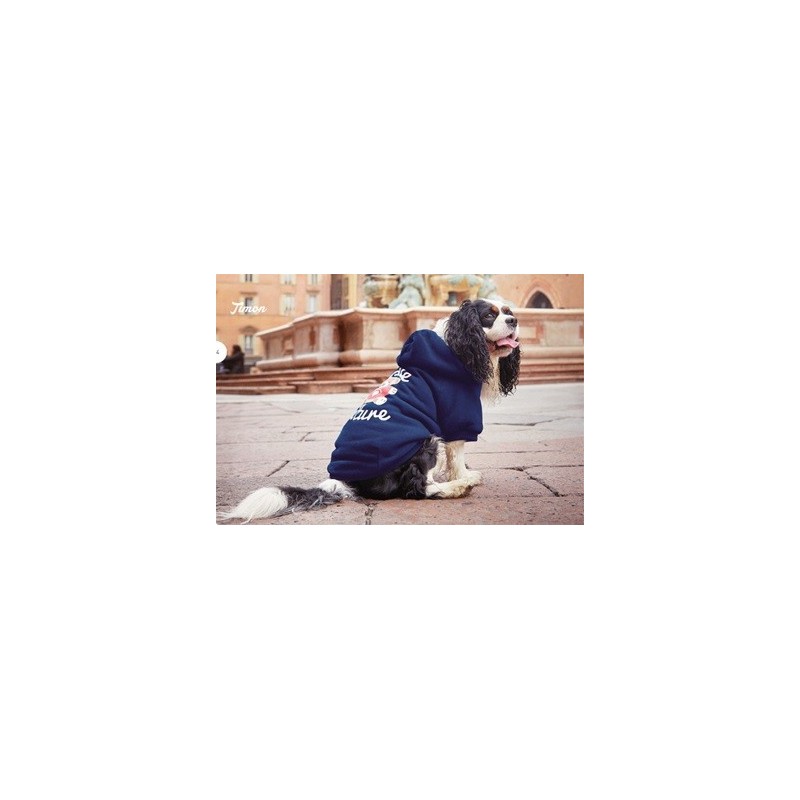 Dog Sweater  "Timon"