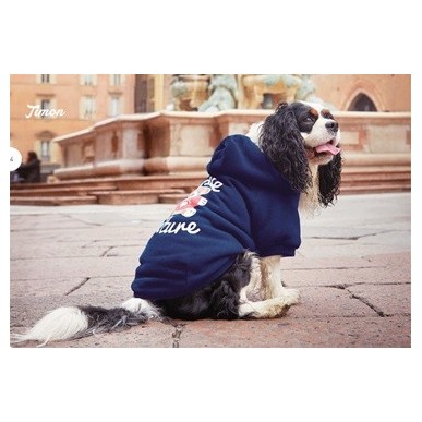 Dog Sweater  "Timon"