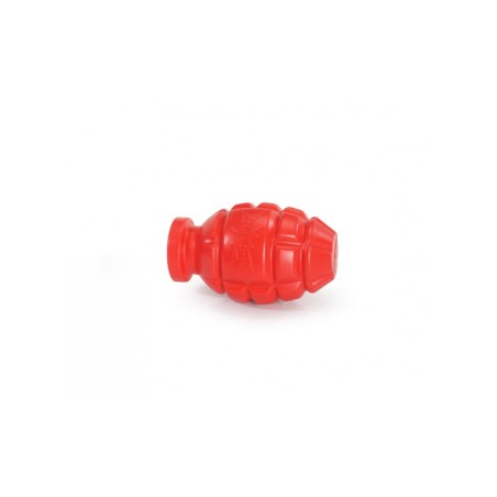 Floating Dog Toy