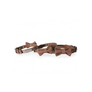 Brown Collar For Dogs