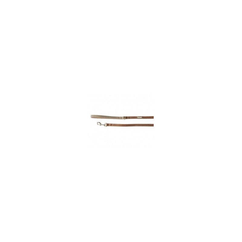 Leash For Dogs BROWN/GREEN