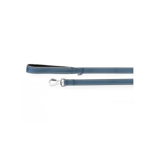 Reflective leash with neoprene handle