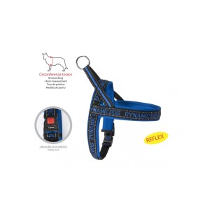 Dynamic Neoprene dog harness