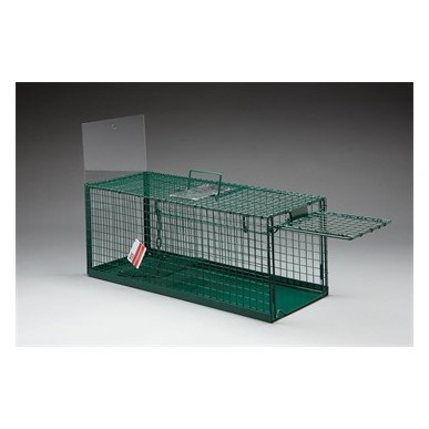 EeziCatch Cat Trap Solid Floor