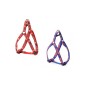 “Flags” adjustable harness