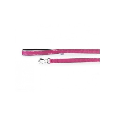 Reflective leash with neoprene handle