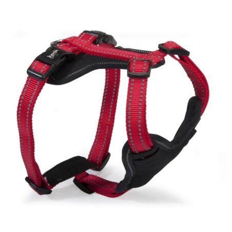 Reflective 5-ways adjustable neoprene harness