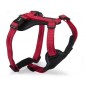 Reflective 5-ways adjustable neoprene harness Reflective 5-ways adjustable neoprene harness