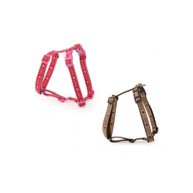 “Love” harness with double buckle