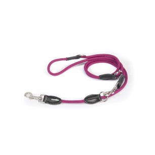 Dog Leash
