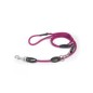 Dog Leash Dog Leash