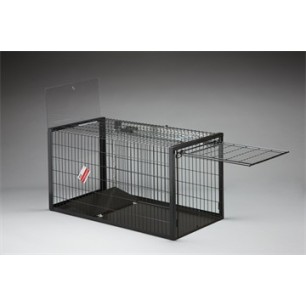Fox Trap