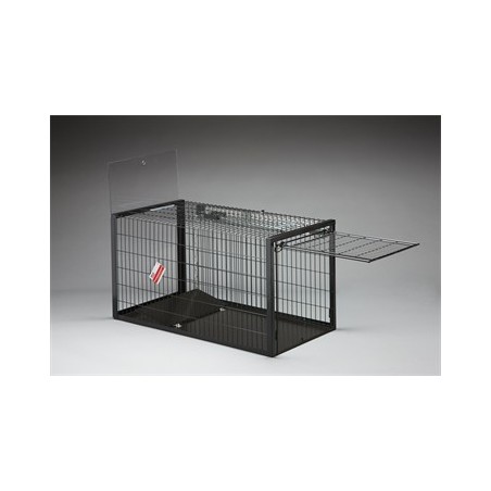 Fox Trap