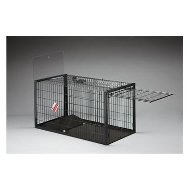 Fox Trap