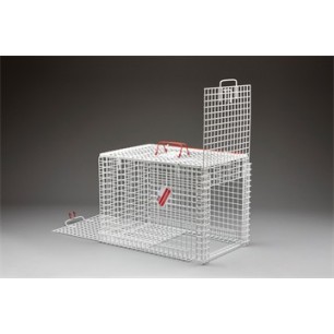 Queens Cage Drop Over