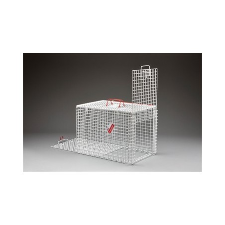 Queens Cage Drop Over