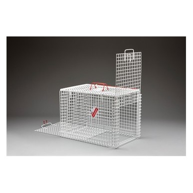 Queens Cage Drop Over