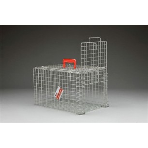 Trap and Transfer Basket