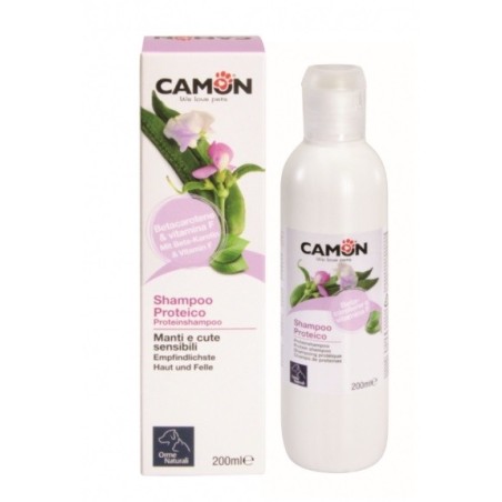 Protein shampoo