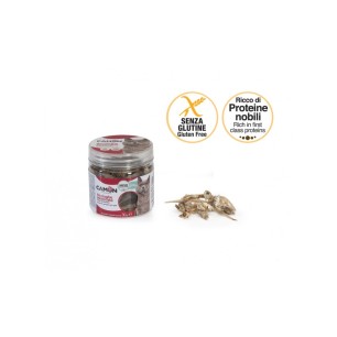 Dried anchovies snak