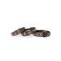Leather Collar With Pointed Studs Leather Collar With Pointed Studs