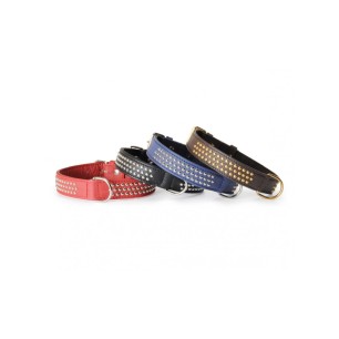 Black Collar With Studs