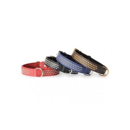 Black Collar With Studs