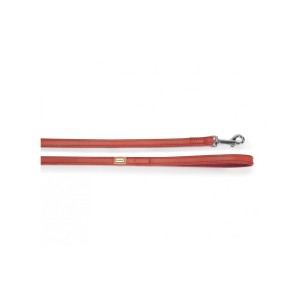 Leash In Synthetic Lining