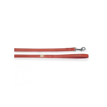 Leash In Synthetic Lining