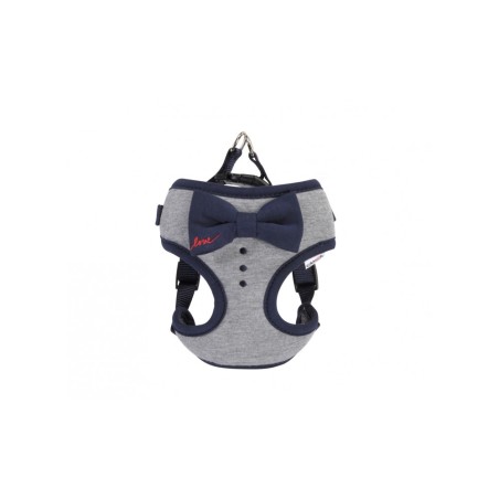 Grey Harness With Blue Bow "Love"