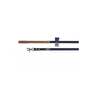 Dog Leash "American Flag"