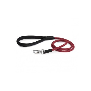 Conduction Leash
