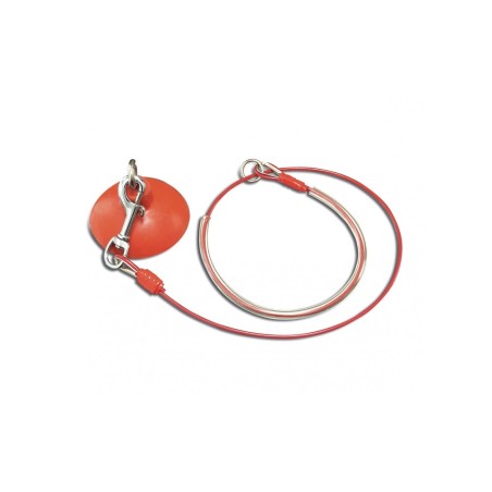 Professional Steel And PVC Leash