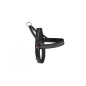 Dog harness "DynamicDog Plus" Dog harness "DynamicDog Plus"