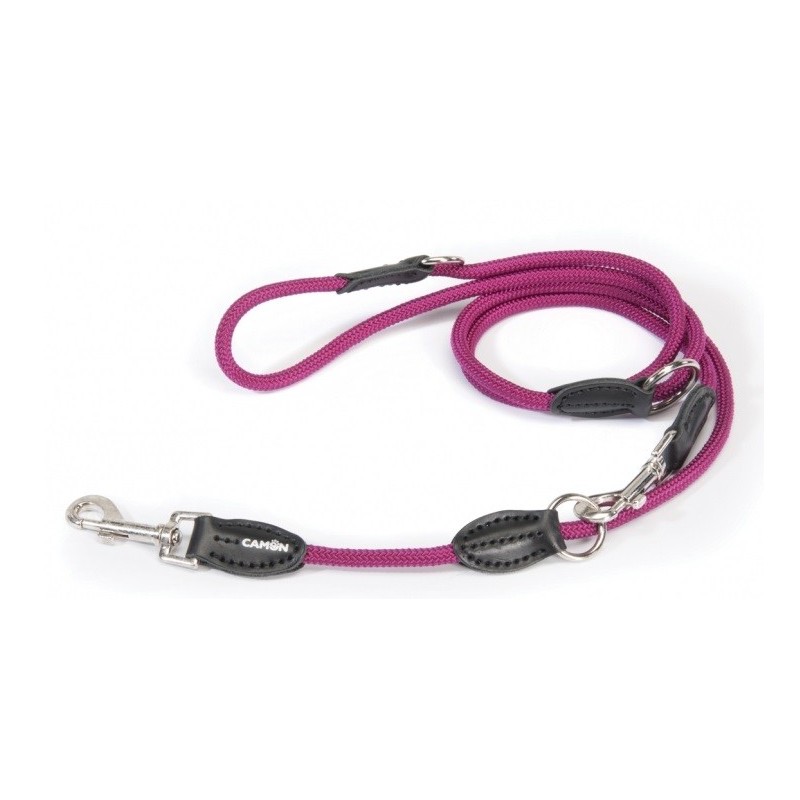 Dog Leash Dog Leash
