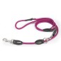 Dog Leash Dog Leash
