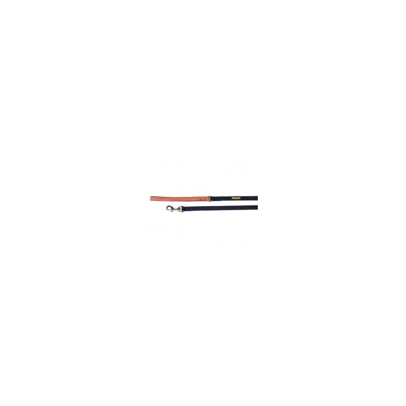 Leash "Blue/Salmon"