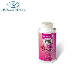 Dry shampoo powder
