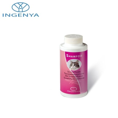 Dry shampoo powder