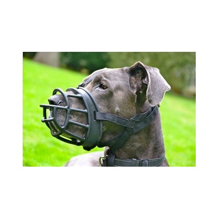 Baskerville Ultra Muzzle