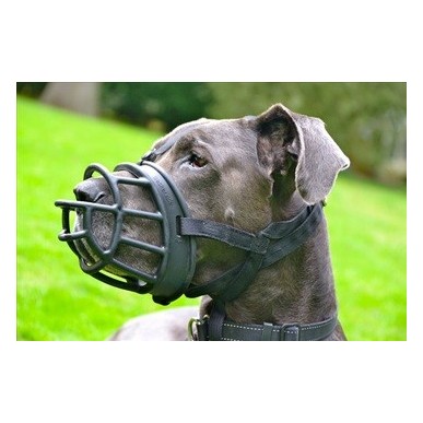 Baskerville Ultra Muzzle