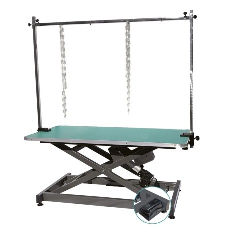 Electric Lifting Table