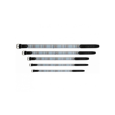 Light Blue Tartan Collar