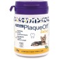 New! Proden Plaque Off Dog Powder New! Proden Plaque Off Dog Powder
