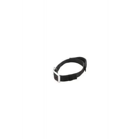 "Patento" Dog Collar