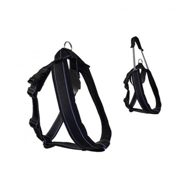 "Patento" Dog Collar