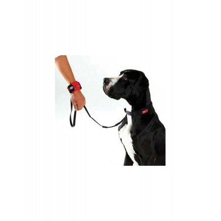 "Patento" Dog Collar